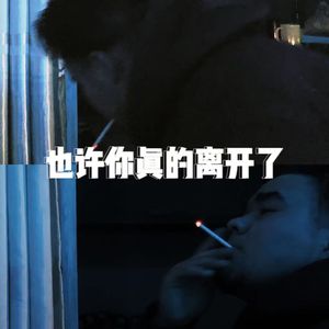 也许你离开了