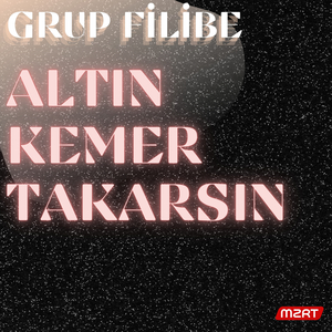 ALTIN KEMER TAKARSIN