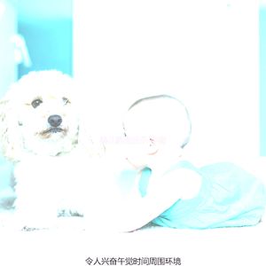 温和午觉时间梦想