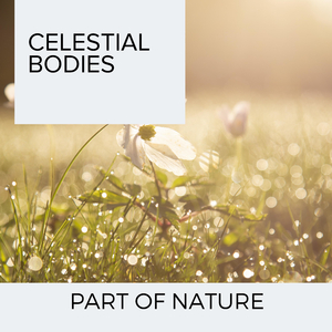 A Memory of Love Birds