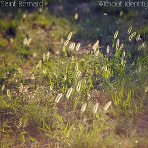 Waltz No. 3 (Morning Fog Ascends)