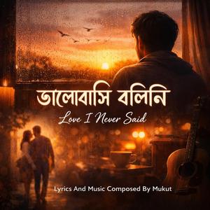 ভালোবাসি বলিনি (Love I Never Said)