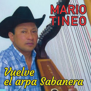 Vaya Ilusión, Vaya Pasión
