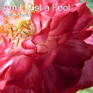 Am I Just a Fool