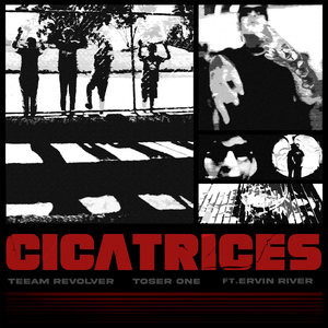 Cicatrices