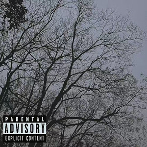 北风（North Wind）