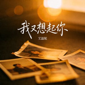 我又想起你