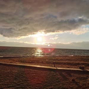 让我的思念化作成一阵风