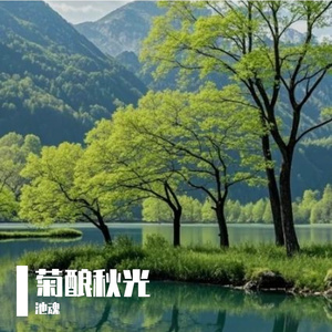 菊酿秋光