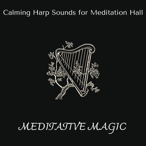 Kinetic Kaleidoscope