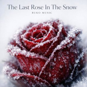 The Last Rose in the Snow