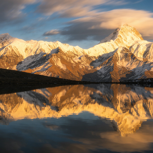 竖琴与自然音里的萌宠治愈