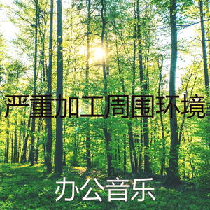 柔和的焦点时刻