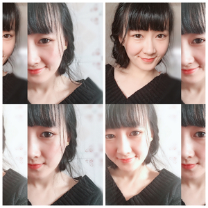 十二风华鉴（翻自 群星）