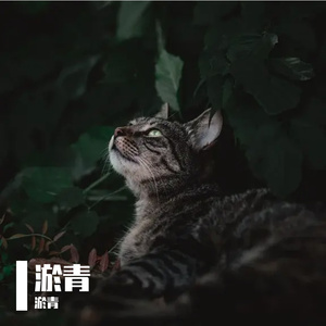 时间煮雨