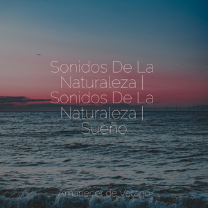 Ecos del Cosmos Lamentando