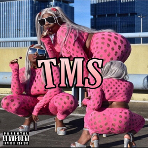 T.M.S (Intro)