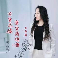 今生无缘来生再相遇 (舞曲版)