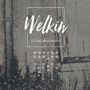 【正泰】Welkin-《welkin》授权OST
