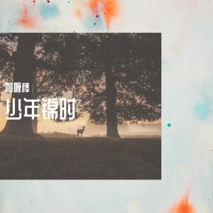 少年锦时