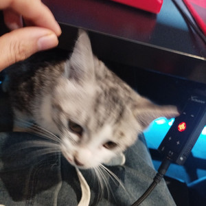 邪恶星期六 Beat