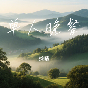 单人晚餐