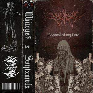Control of My Fate (feat. Svntxmvlx)