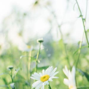 仅此一年我判若两人