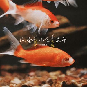这条小鱼在乎