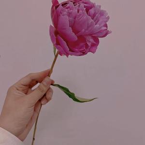 被这个世界骗到想结婚