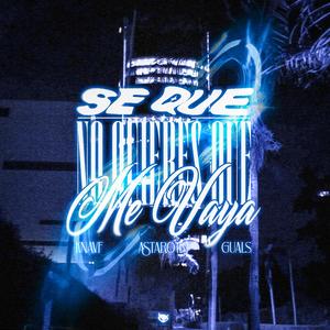 Se Que No Quieres Que Me Vaya (feat. 6glokk)