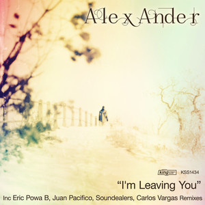 I'm Leaving You (Soundealers Dub Mix)