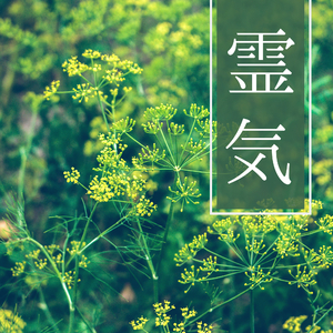 副交感神経 高める