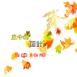 风中的落叶 新版