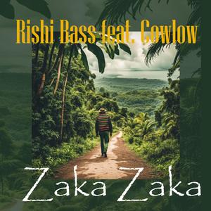 Zaka Zaka (feat. Cowlow) (Radio Edit)