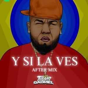 Y SI LA VES (AFTER MIX) (Radio Edit)