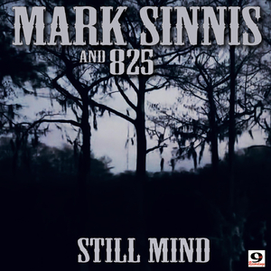 Still Mind (feat. 825)