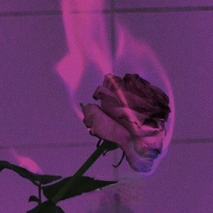 Engana Dizendo Que Ama