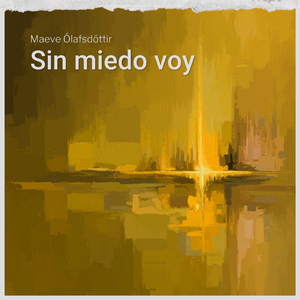 Paso Seguro
