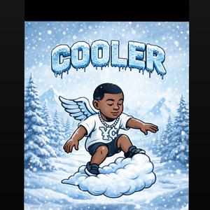 Cooler