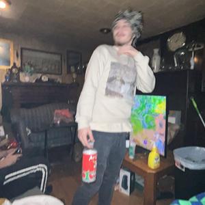 gotnotrust