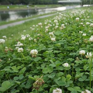 下手な口笛を吹きながら。 (Karaoke Version)