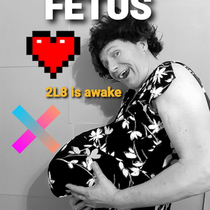Fetus