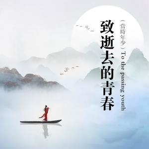 致逝去的青春（当时年少）