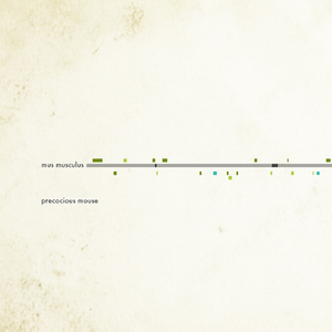 ELF5 E74-like Factor 5