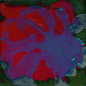 In The Groove (Ayesha's Drums Are Sex Dub)