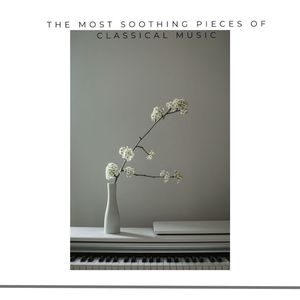 Borodin:Petite Suite: VI. Serenade