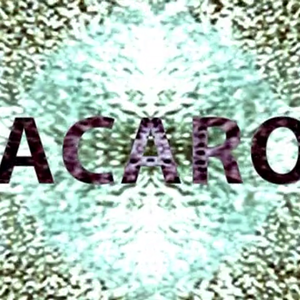 马卡龙（翻自 初音ミク）