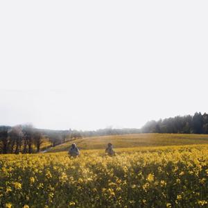 Gepäck (feat. mlpsalo)