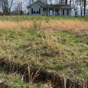 The Mountain Sound Freestyle